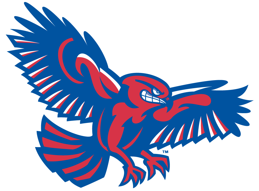 UMass Lowell River Hawks 2006-2012 Secondary Logo v3 diy DTF decal sticker